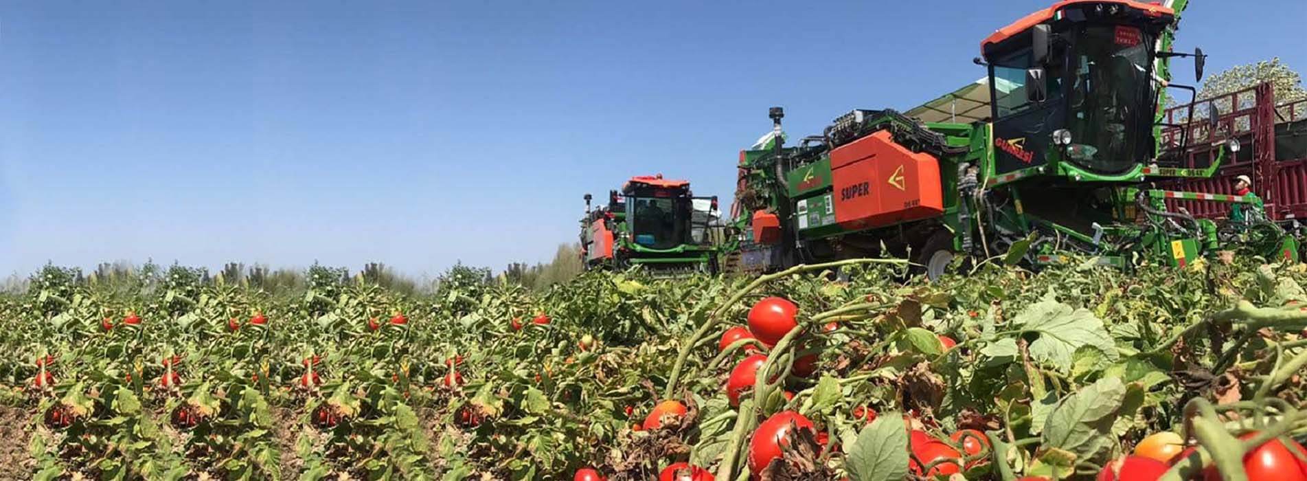 Ανταλλακτικά